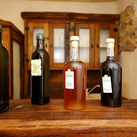 Seaside House - Diklo, - 14856 * Zadar