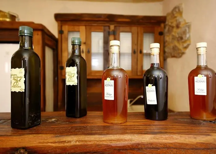 Seaside House - Diklo, - 14856 * Zadar